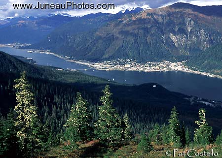  Winter View of Juneau