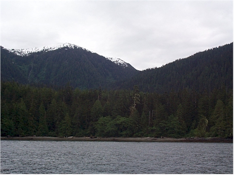 The view for miles and miles up Graham Reach