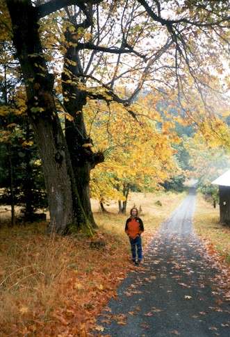 stuart island