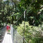 Swing bridge, Great Barrier Island