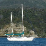 Our magic carpet (Great Barrier Island)