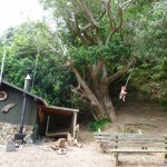 Smokehouse Bay, Great Barrier Island