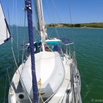 Sailing up the Whangarei river