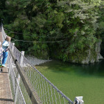 Kaitoke Regional Park, Wellington